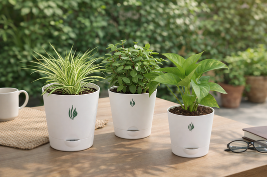 Three potted plants on a wooden table with a blurred green outdoor background